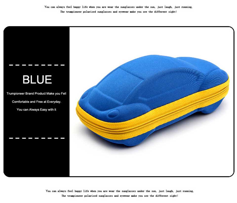 Burberry Sunglasses Case