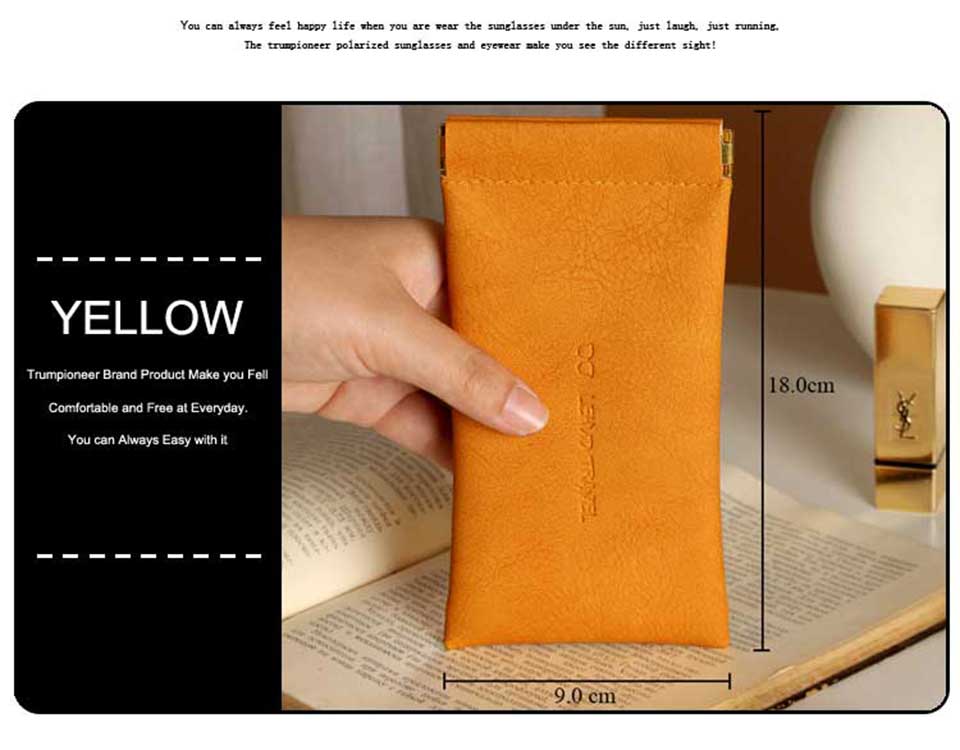 Clip On Sunglass Cases