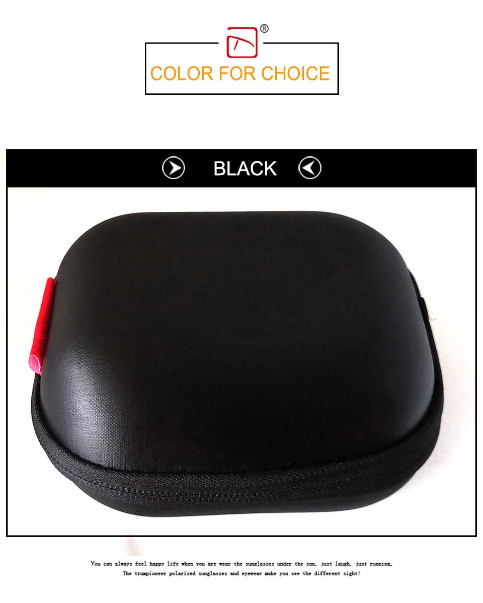 Earphone Carrying Case