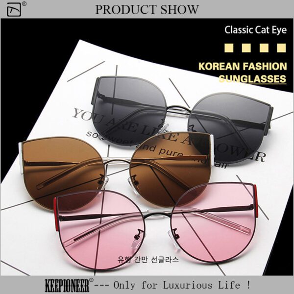 Cat Eye Glasses Frames