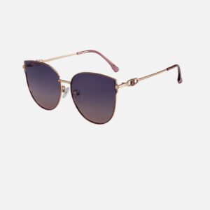 Polarized Glasses