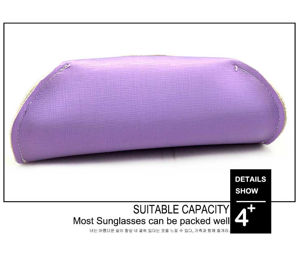 Large Eyeglass Case