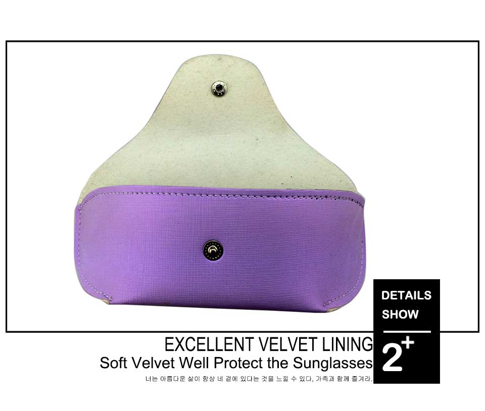 Luxury Eyeglass Case