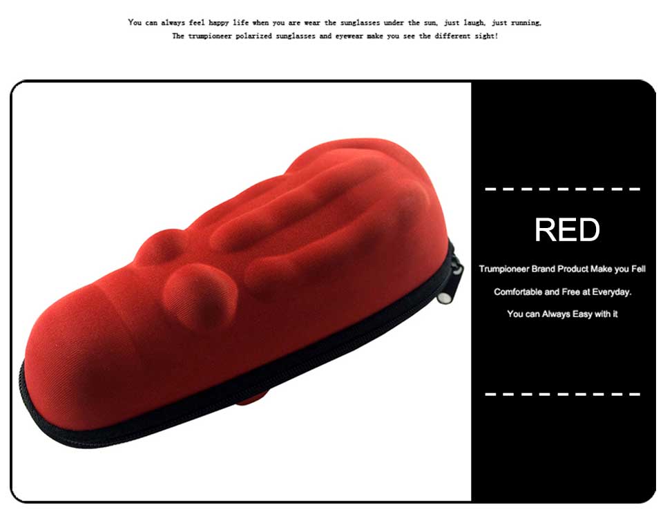 Best Hard Shell Glasses Case