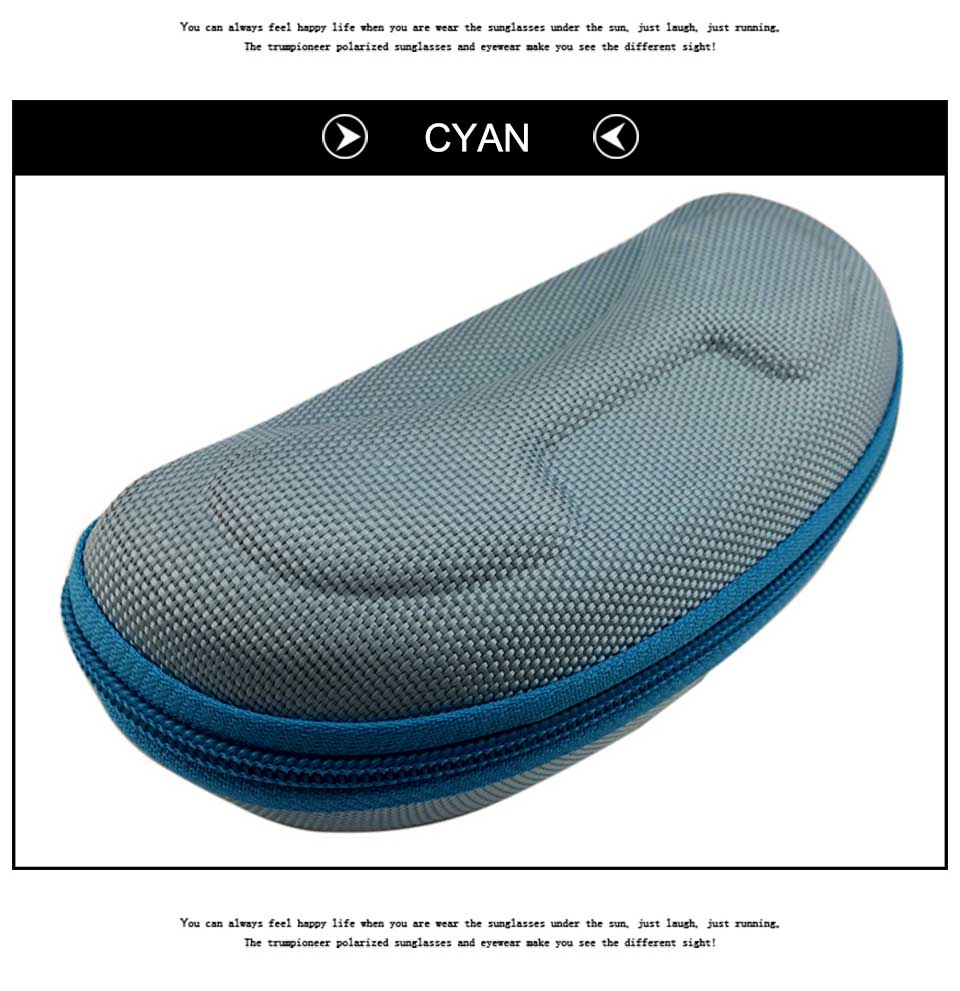 Blue Sunglasses Case