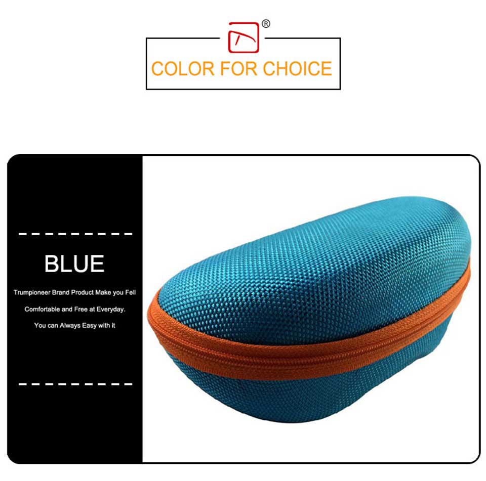 Celine Glasses Case