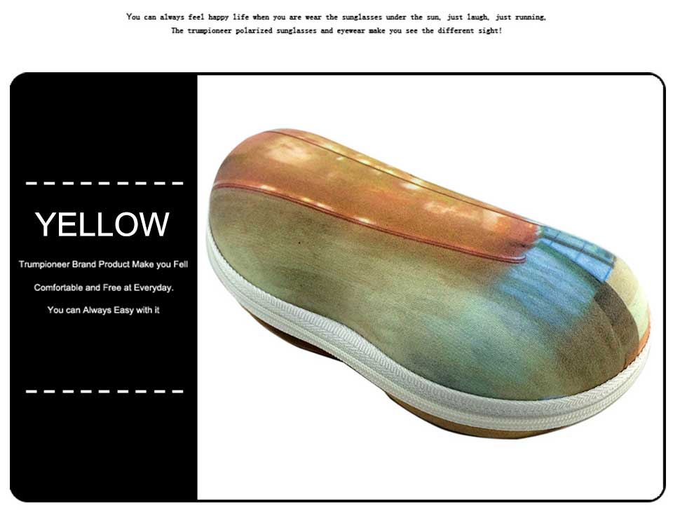 Chrome Glasses Case