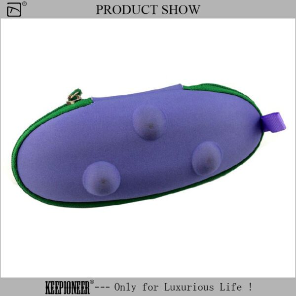 Cute Eyeglass Case