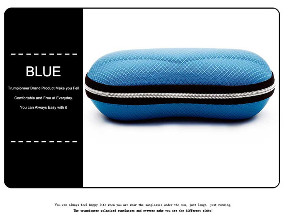 Dior Eyeglass Case
