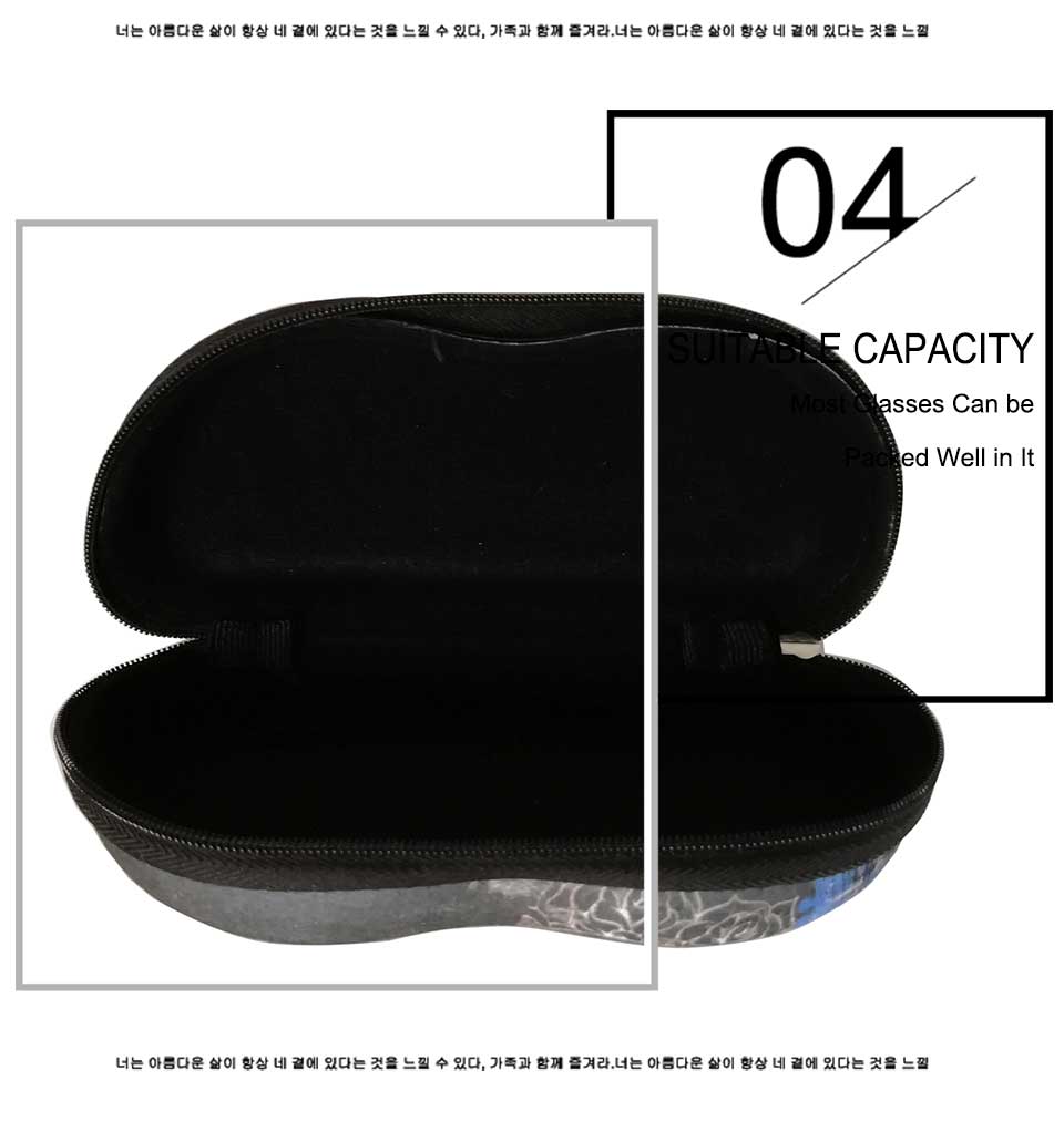 Eye Glass Hard Case