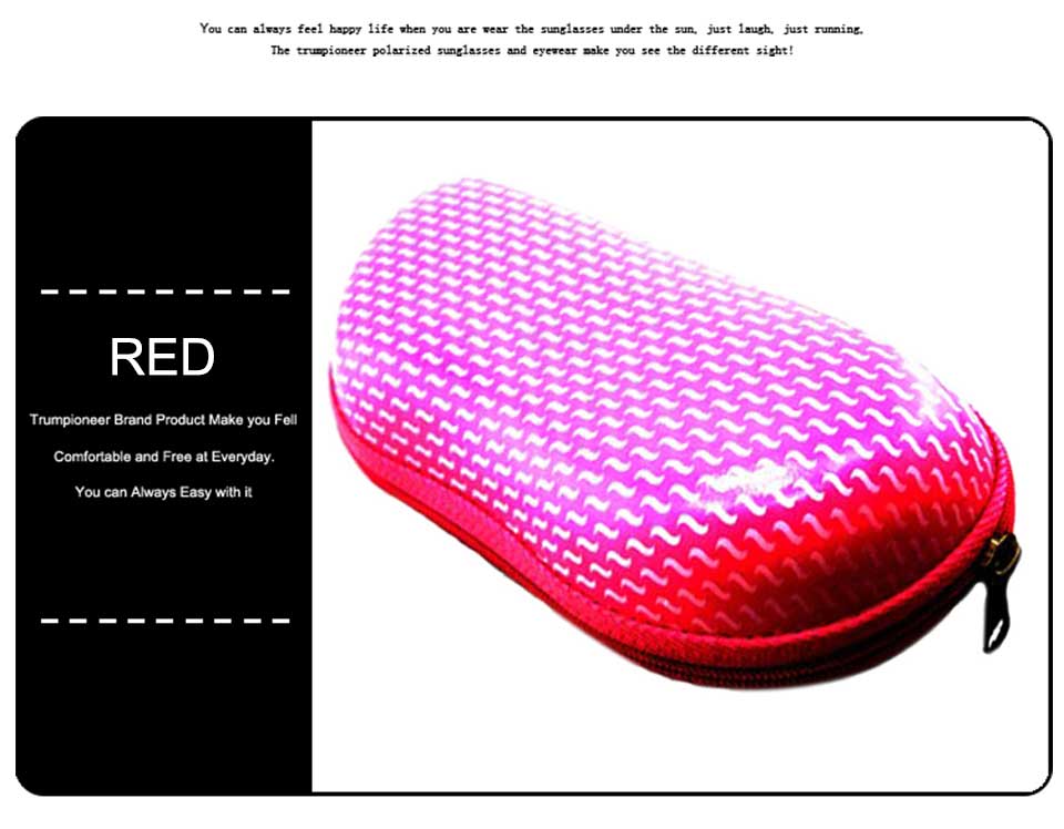 Glasses Case For Car