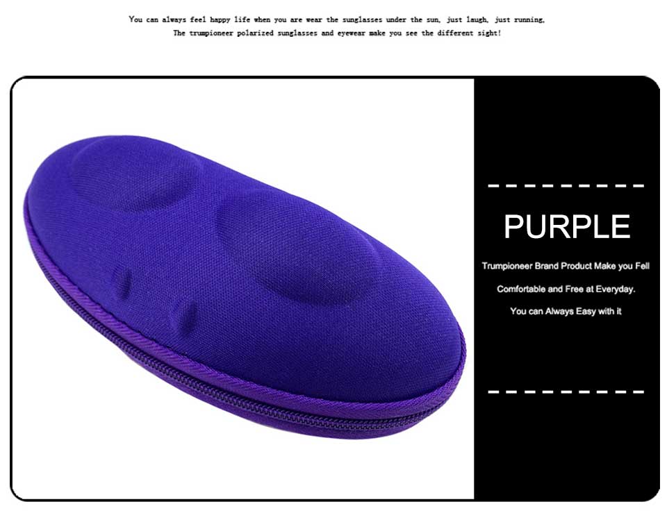 Soft Shell Glasses Case
