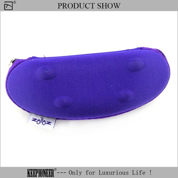 Sunglass Case Car