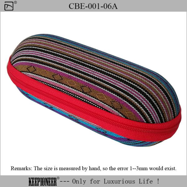 Sunglass Case Car