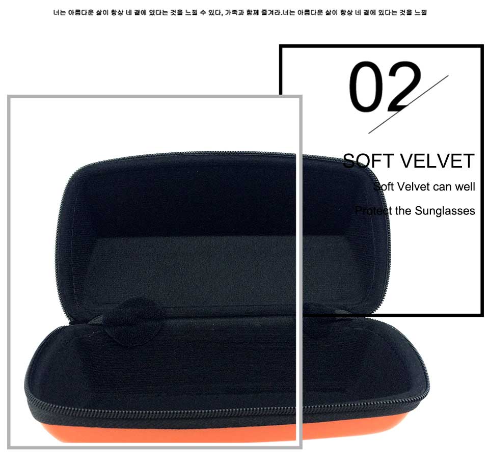 Sunglasses Carrying Case