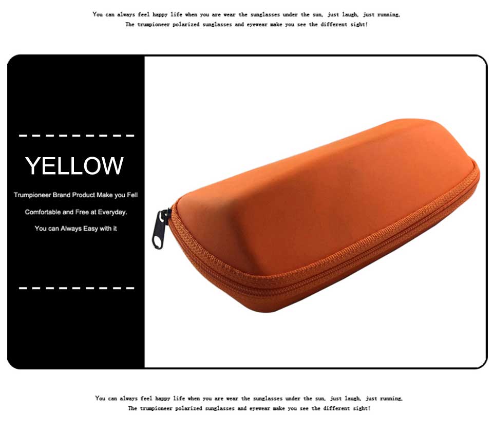 Zipper Sunglasses Case