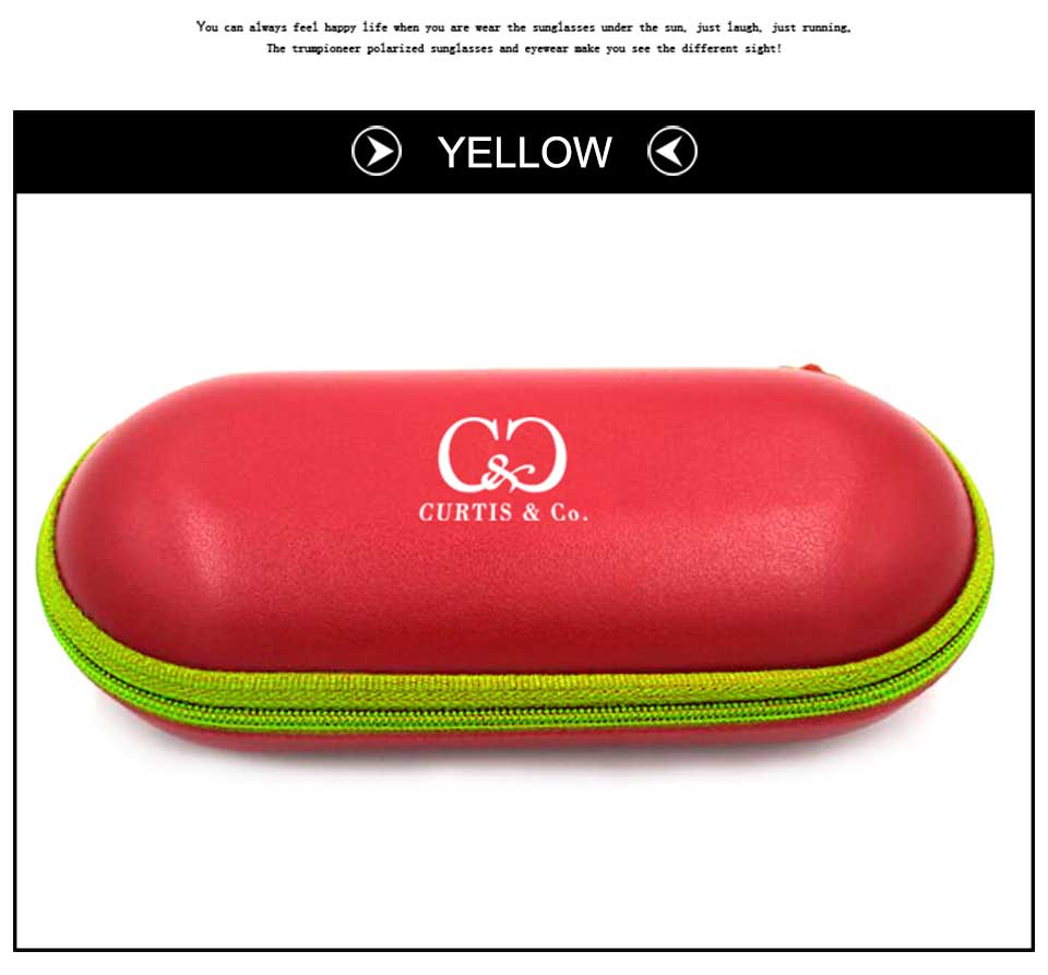 2 Watch Travel Case