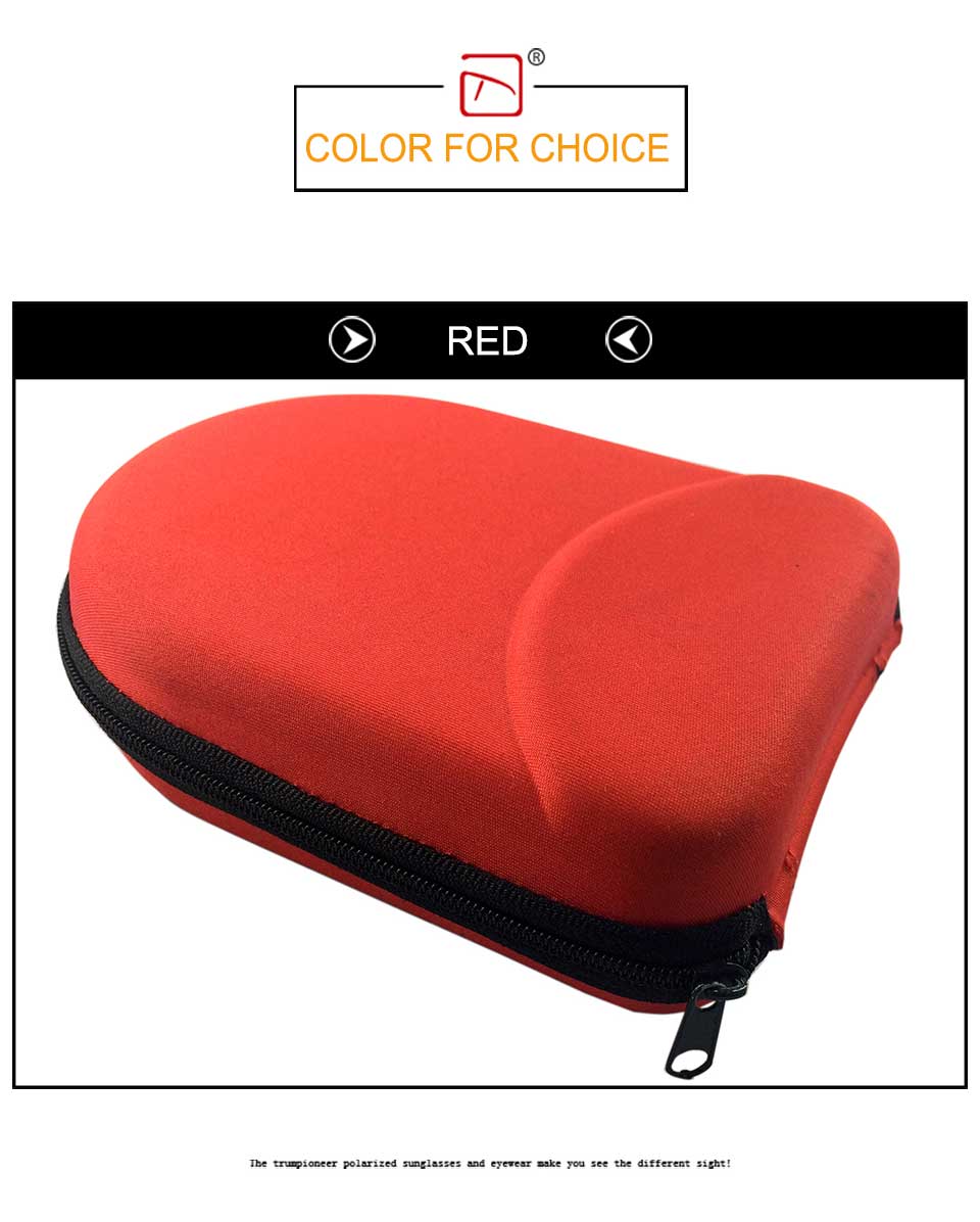 Compact Disc Carrying Case