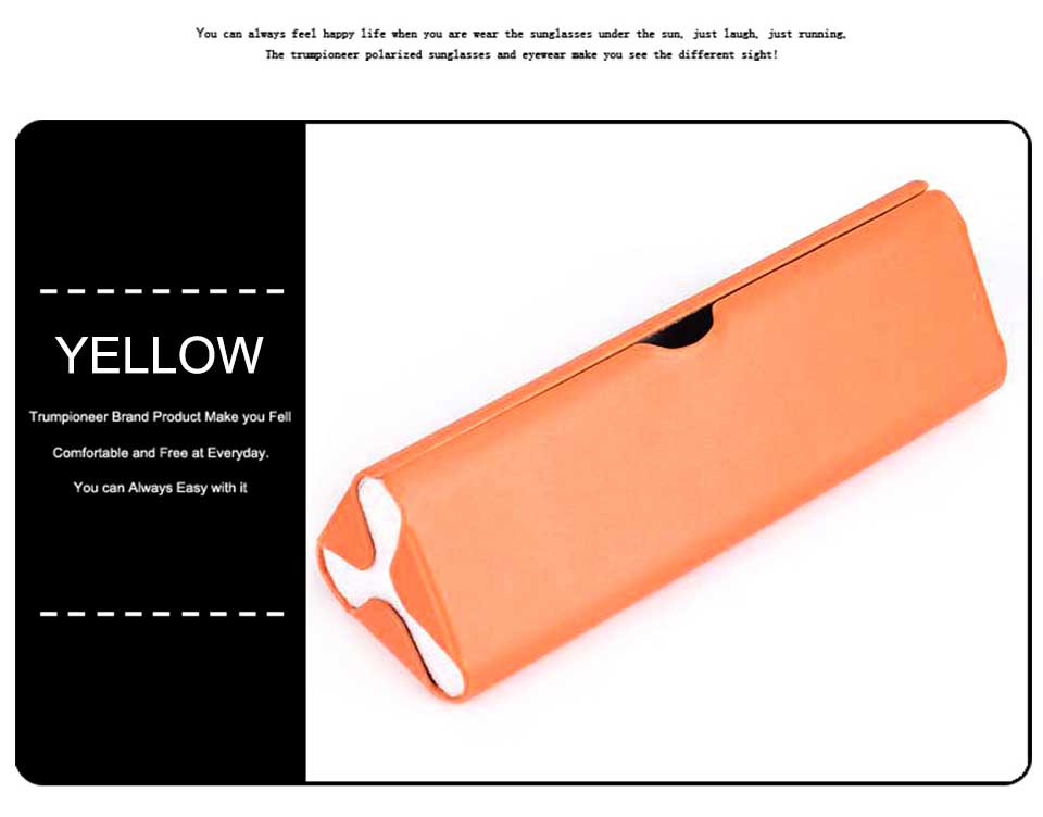 Designer Reading Glasses Case