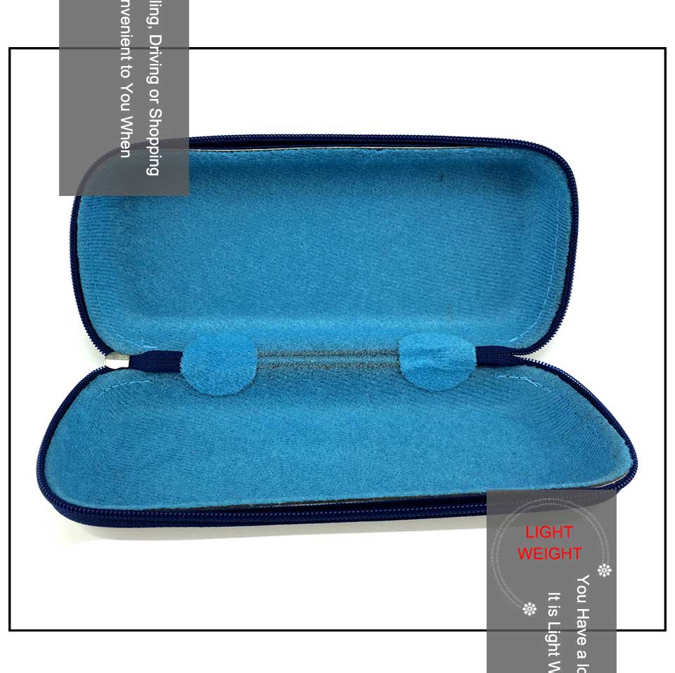 Double Spectacle Case