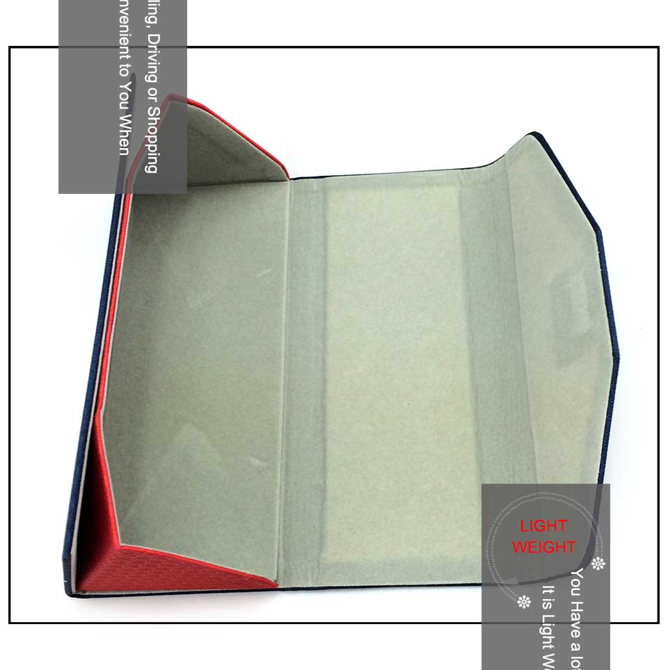 Eyeglass Case Organizer