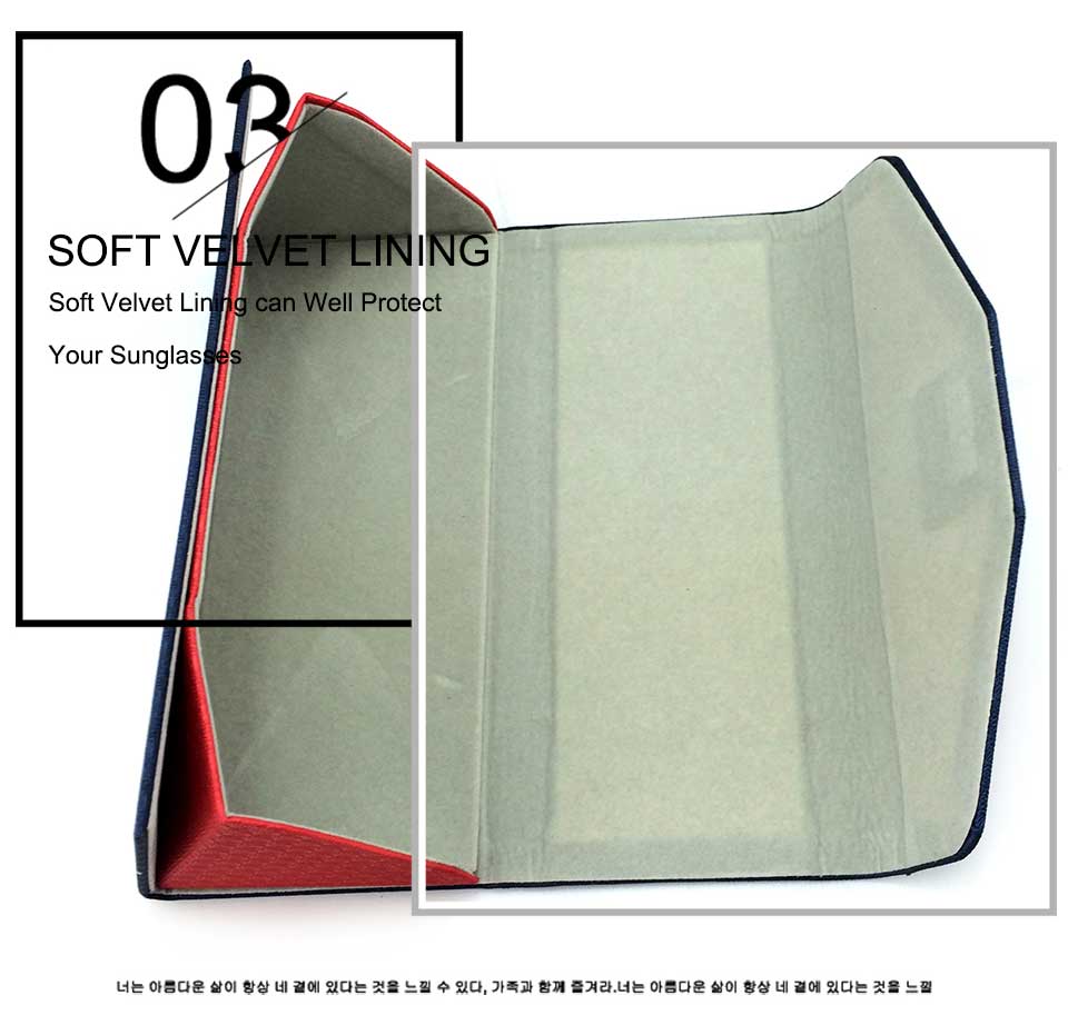 Folding Sunglasses With Case