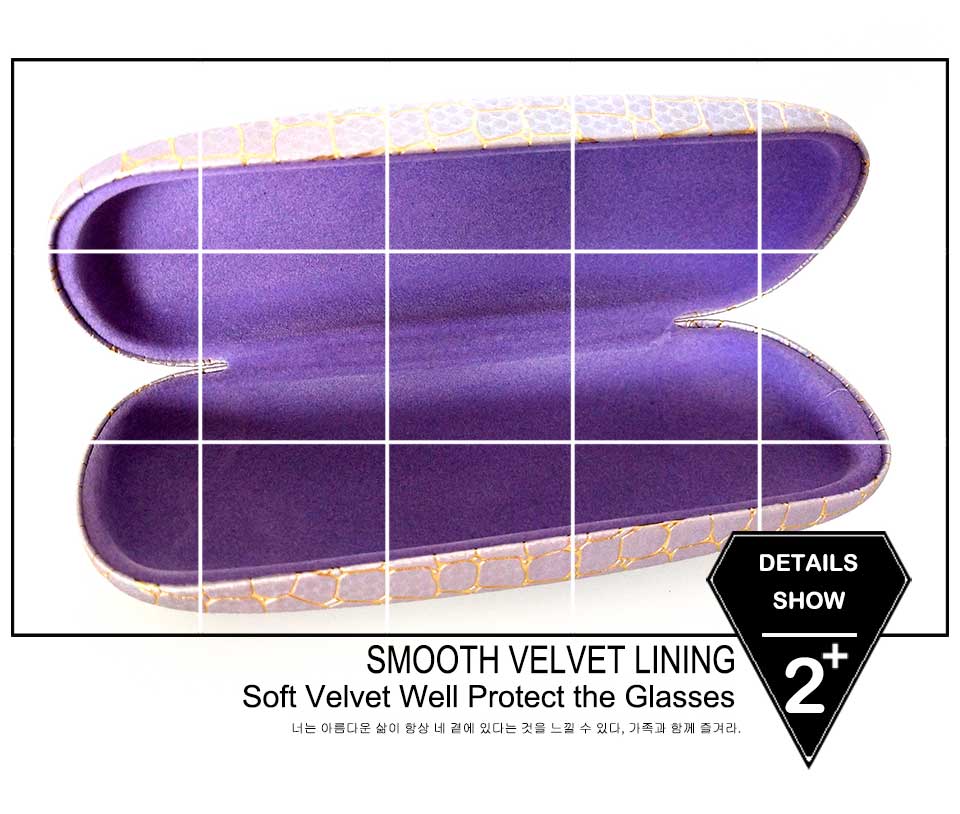 Hard Sided Eyeglass Case