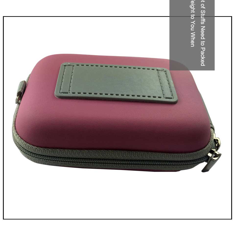 Large Camera Case