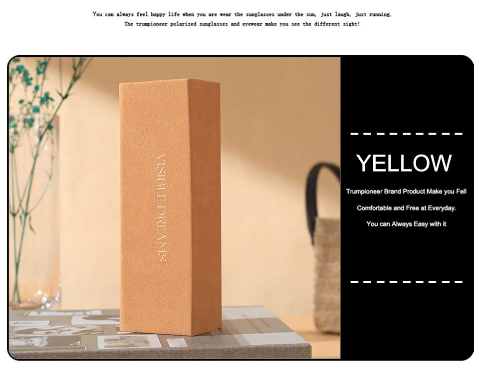 Portable Sunglasses Case