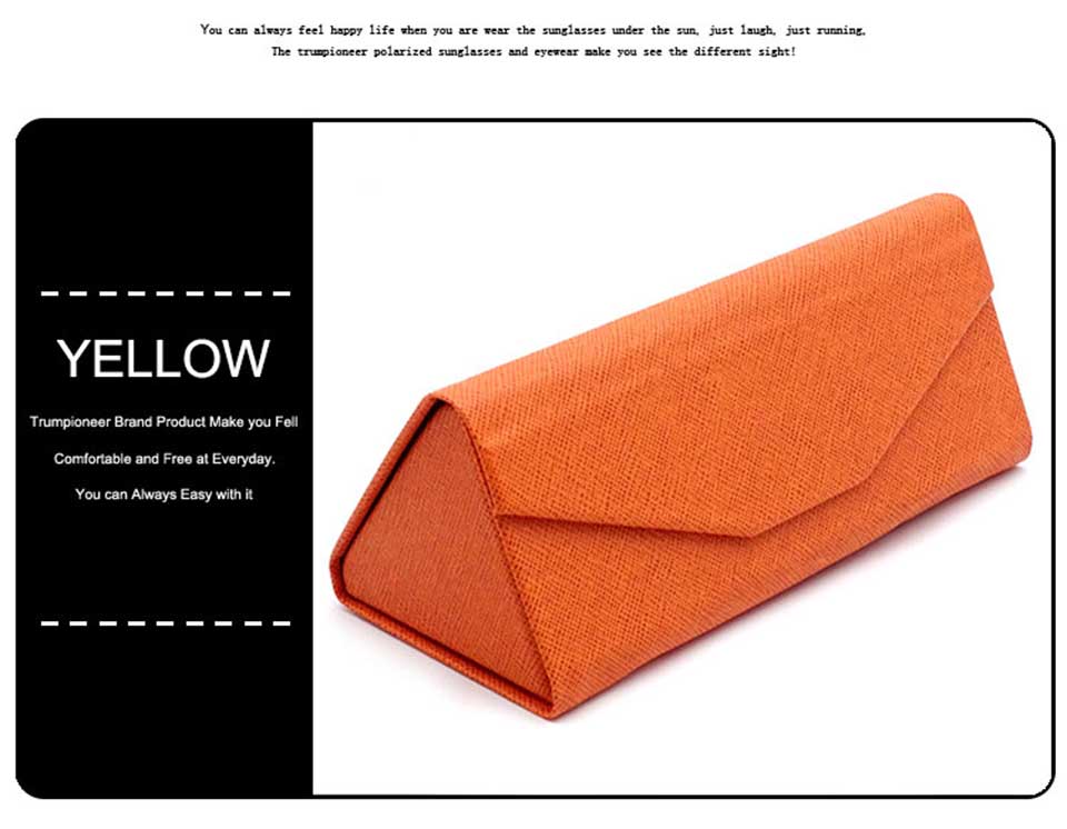 Ray Ban Folding Glasses Case