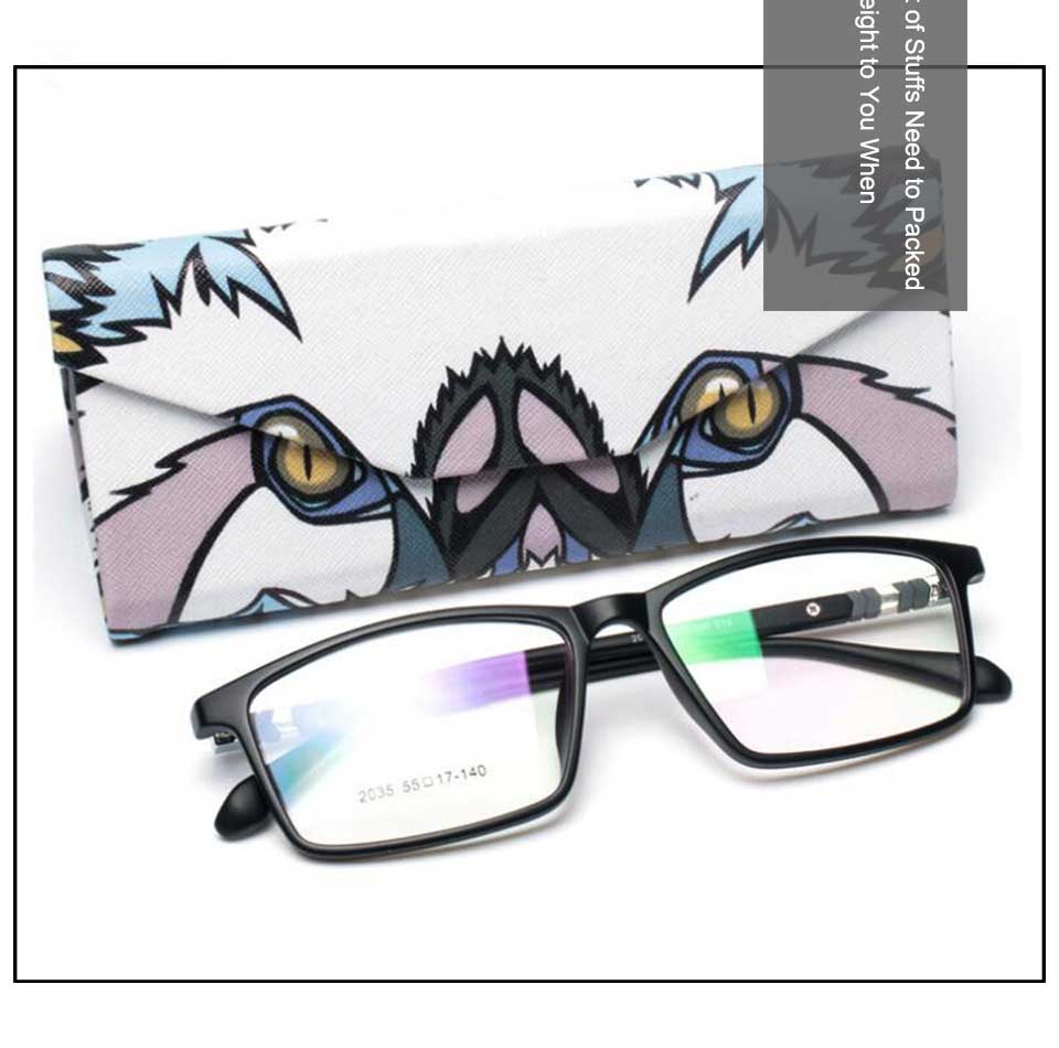 Spectacles Storage