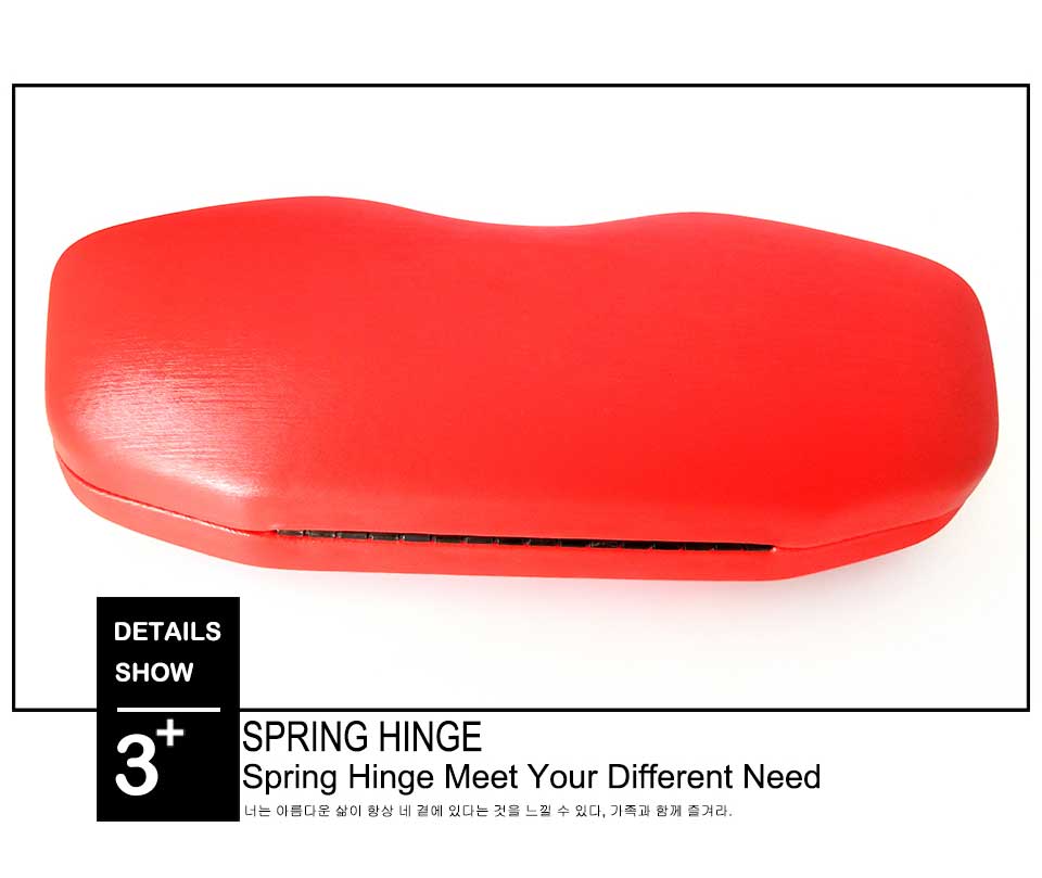 Sunglasses Case Bag