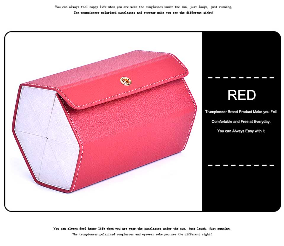 Sunglasses Organizer Case