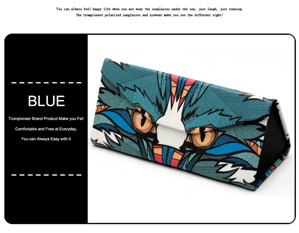 Triangle Sunglasses Case