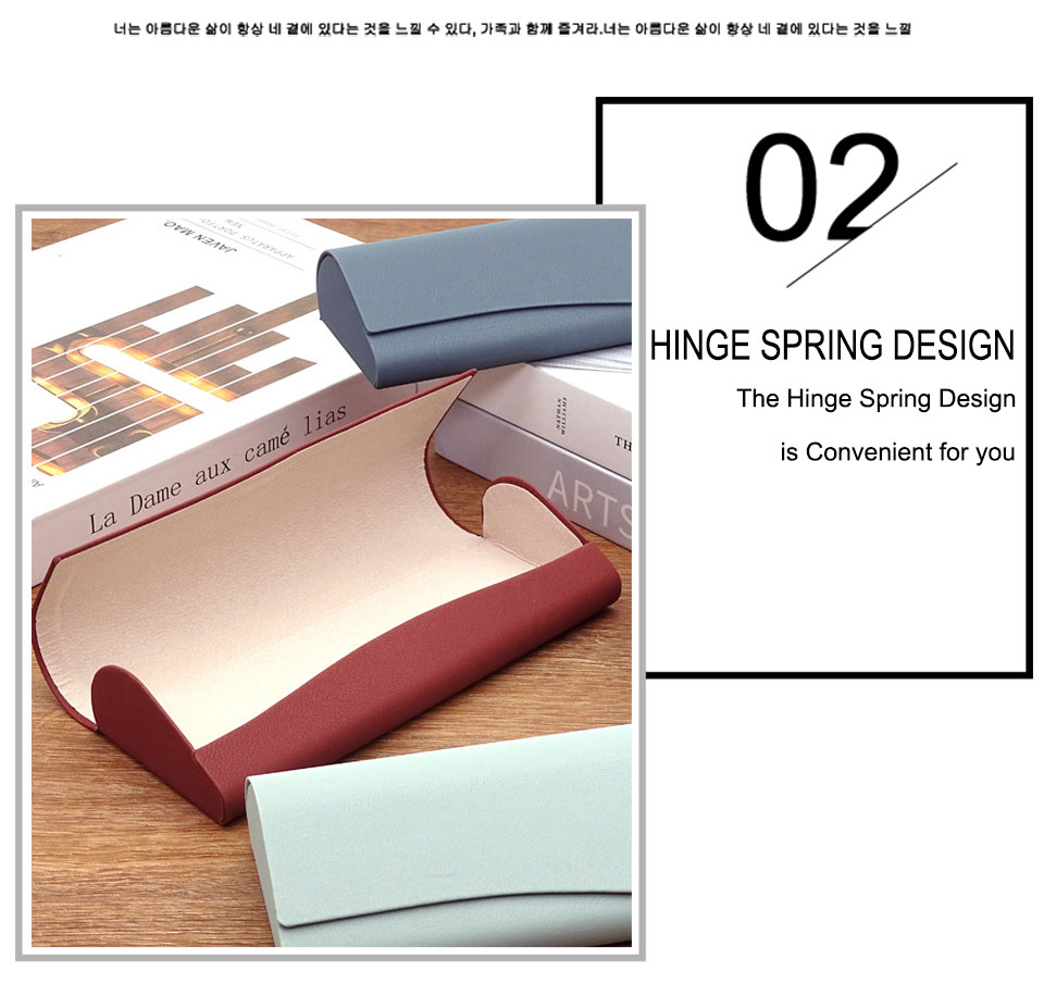 Large Hard Sunglasses Case