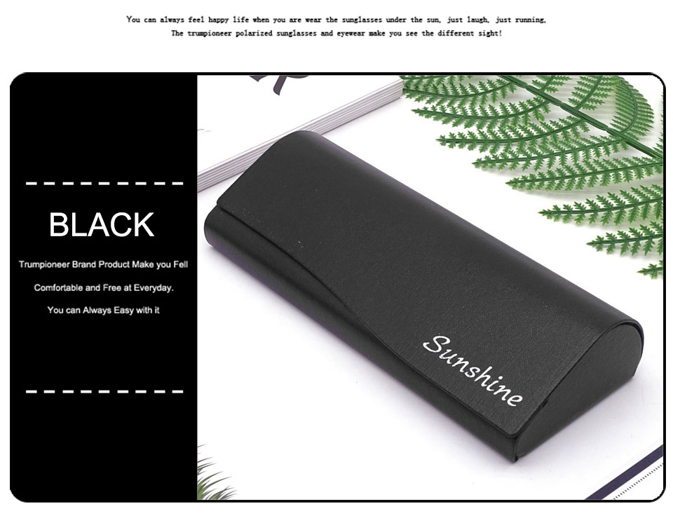 Multicolor Luxury Glasses Case