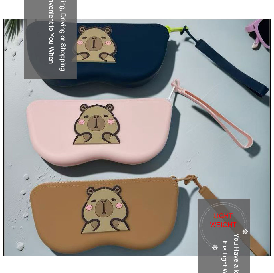 Best Sunglasses Case