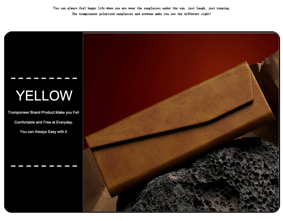 Folding Glasses Case Magnetic