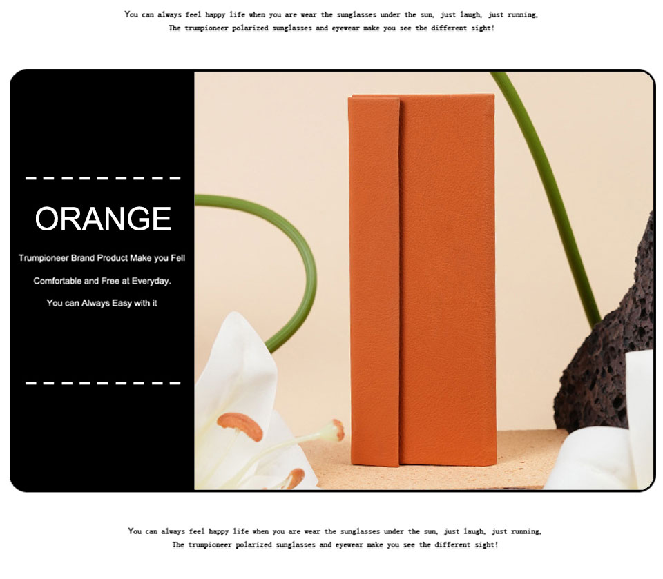 Folding Sunglasses Storage