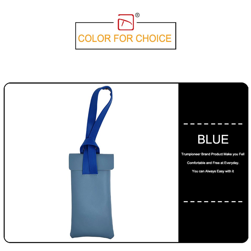 Large Sunglasses Case