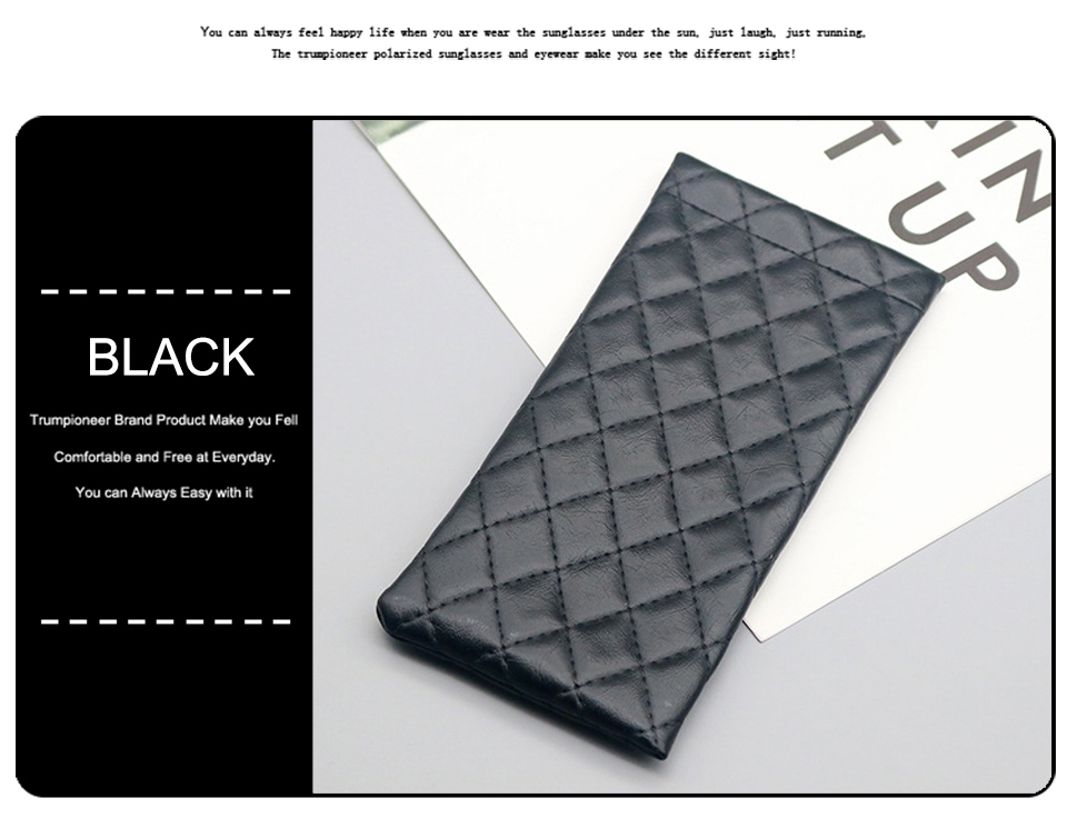 Multiple Sunglasses Case For Car