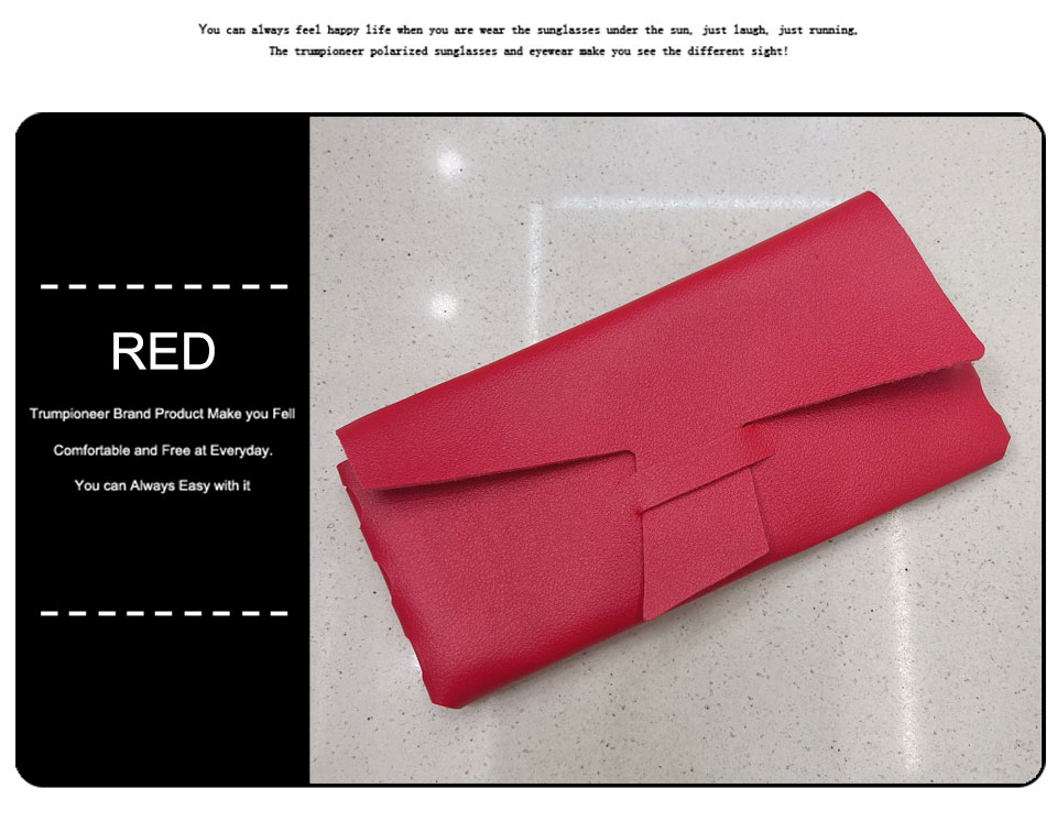 Novelty Glasses Case