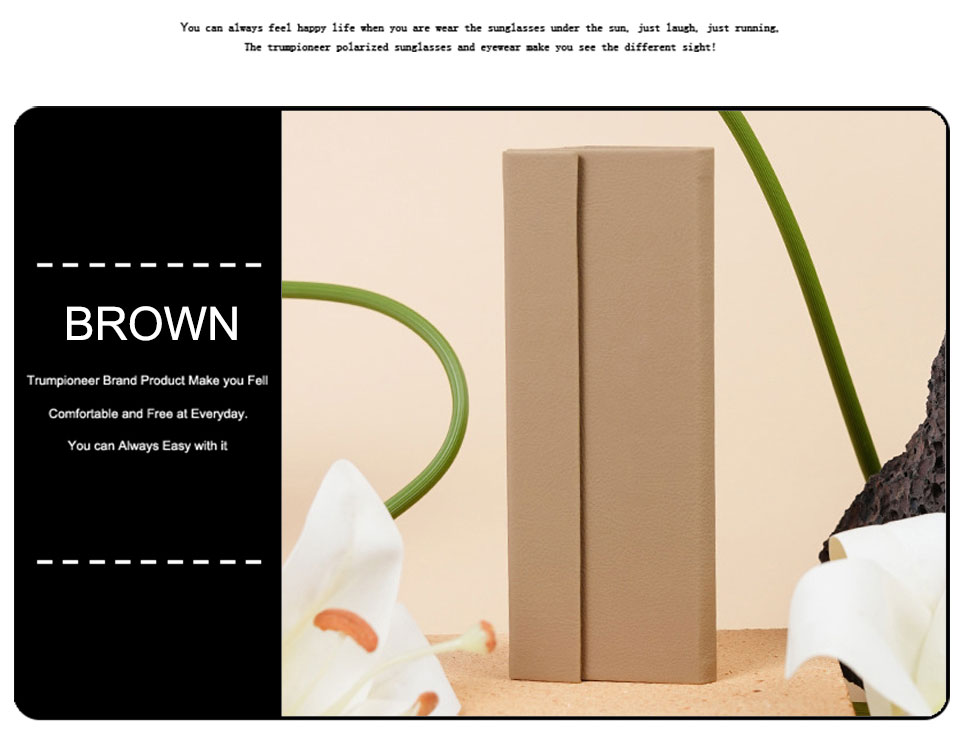 Simple Folding Sunglasses Storage