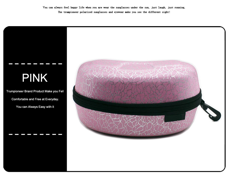 Ski Goggle Case EVA Sports Glasses