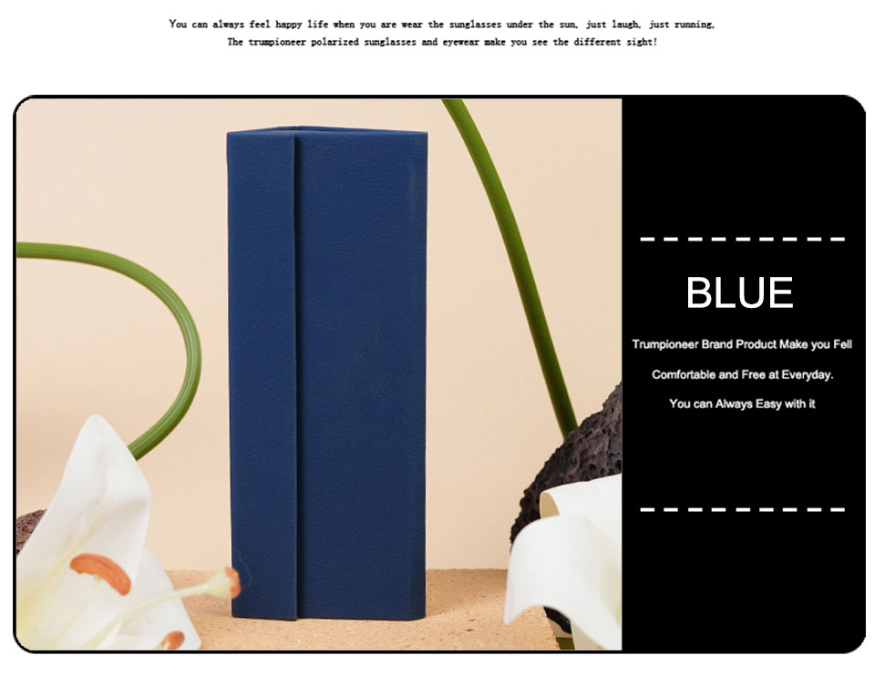 Triangle Sunglasses Storage