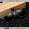 Aviator Style Sunglasses