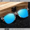 Surf Sunglasses