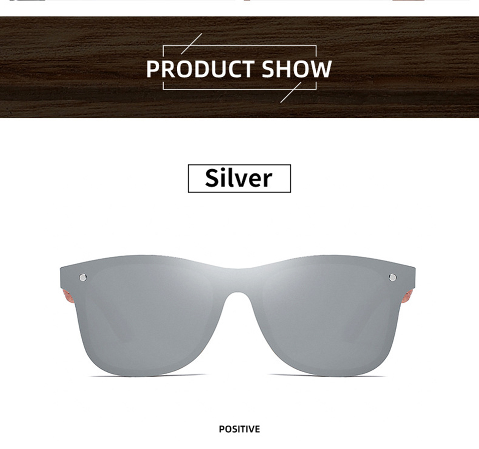 Titanium Sunglasses
